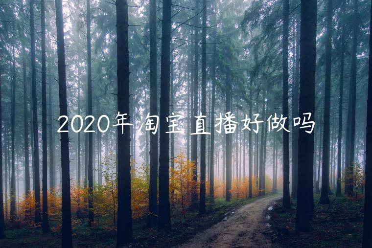 2023年淘宝直播好做吗